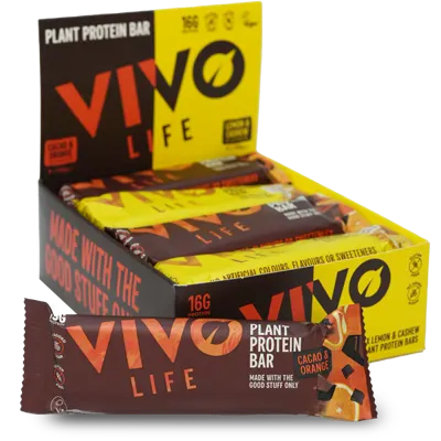 Plant Protein Bars - 12 Bars
